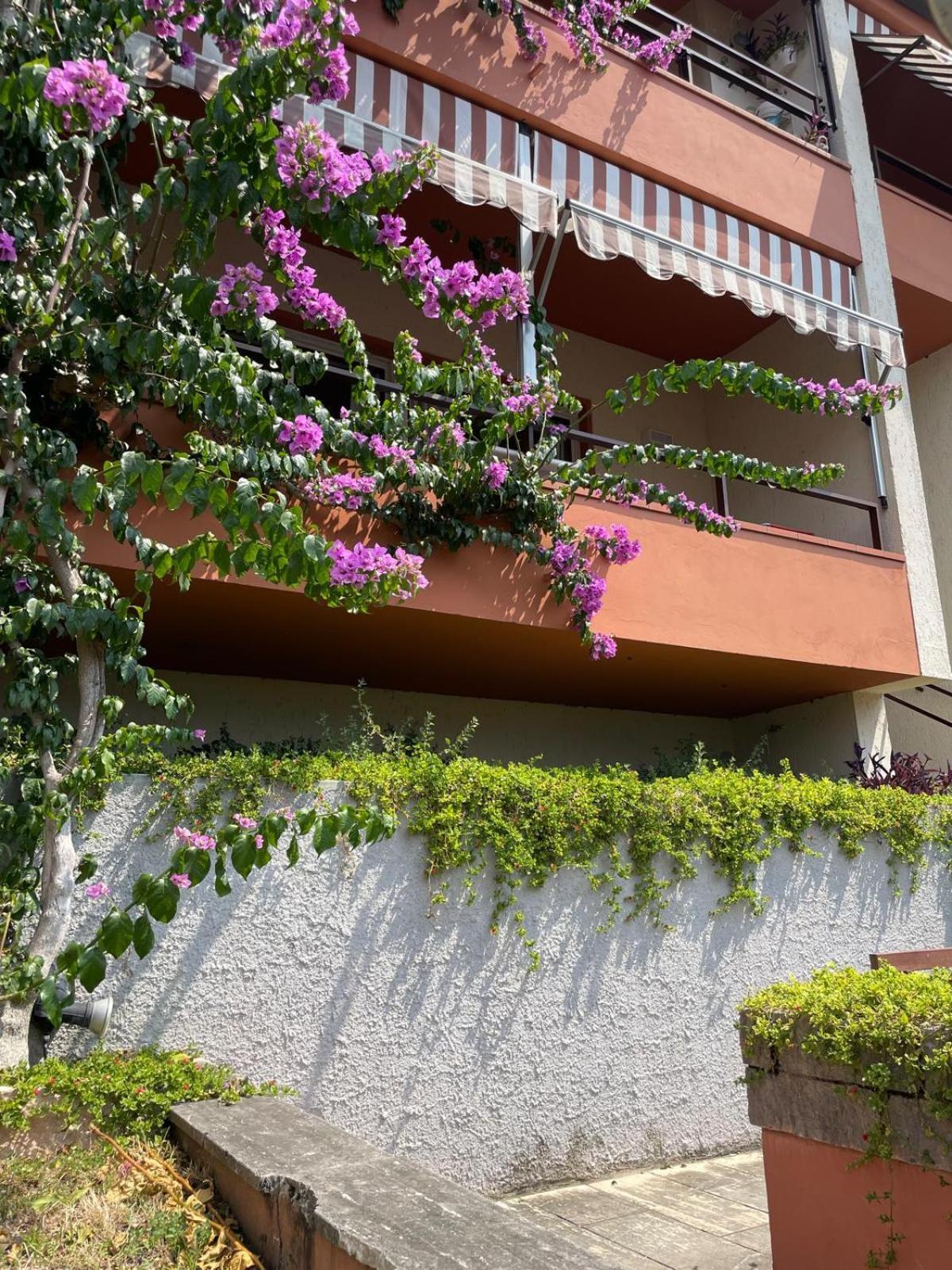 Residence Kormorano Malcesine Kültér fotó